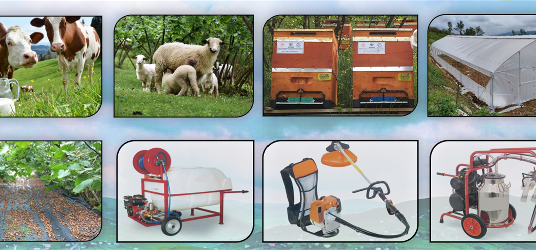 TULIP PROJESİNDE REKOR BAŞVURU