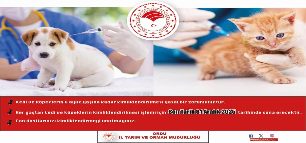 Can Dostlarımızı Kimliklendirmeyi Unutmayın